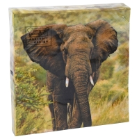 Esscherts design Lunch servetten - Olifant