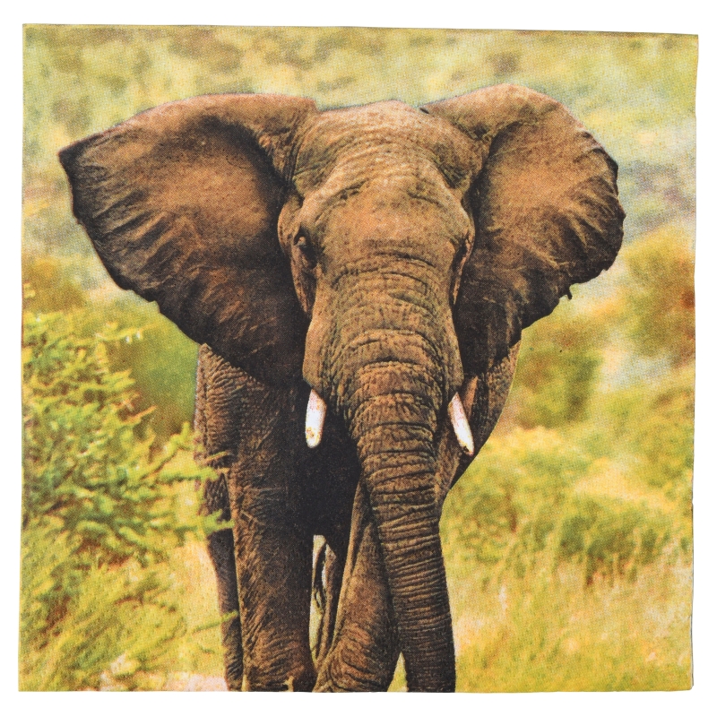 Esscherts design Lunch servetten - Olifant
