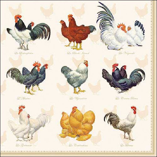 Ambiente Lunch Servetten - Wyandotte Cream