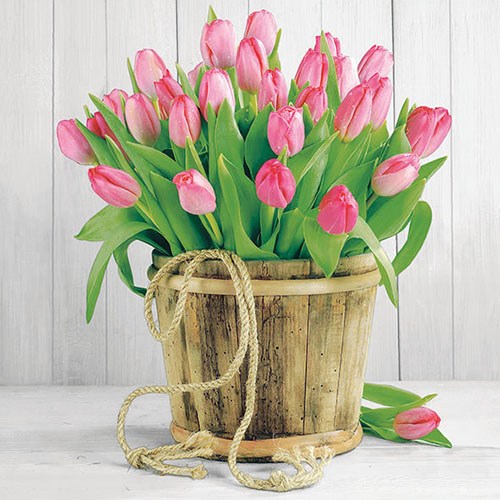 Ambiente - Lunch servetten - Tulips In Bucket Ambiente - Lunch servetten - Tulips In Bucket