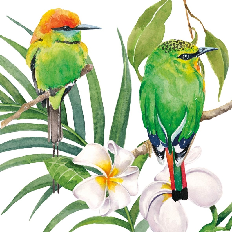 PPD Lunch servetten - Bali PPD Lunch servetten - Bali