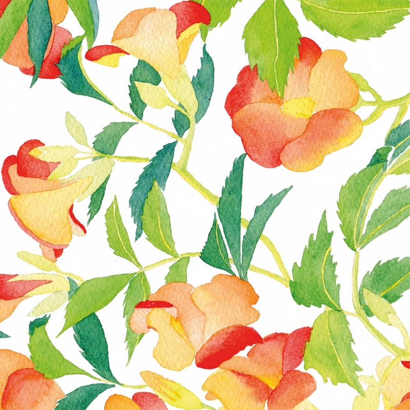 PPD - Lunch servetten - Bégonia PPD - Lunch servetten - Bégonia