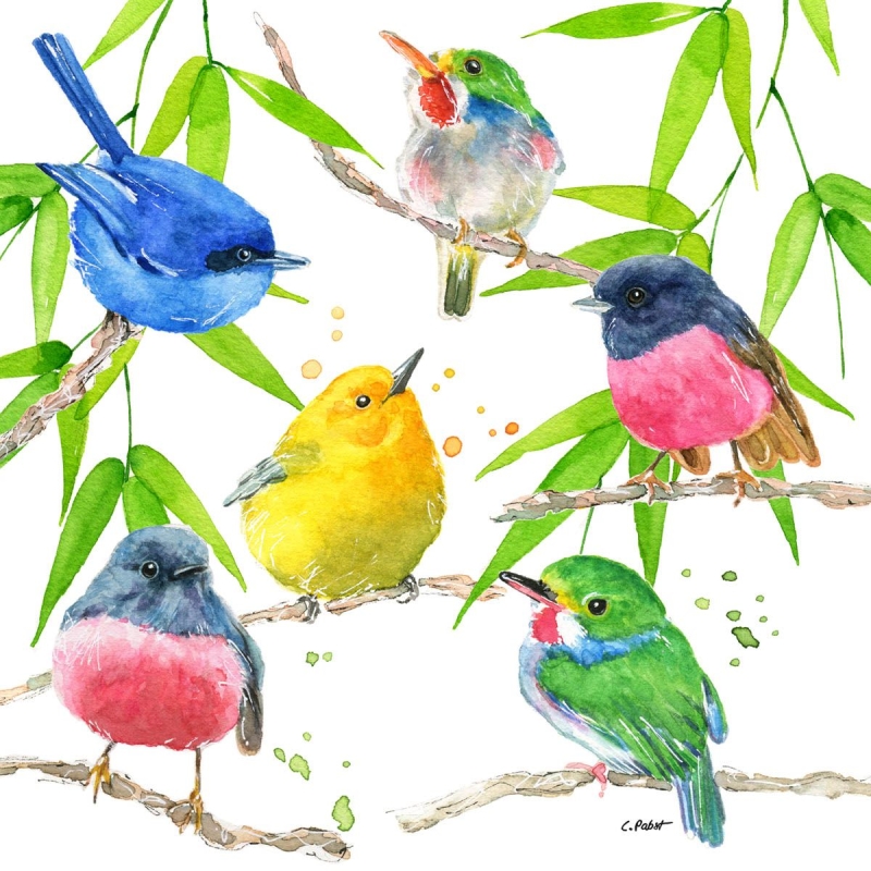 PPD Lunch servetten - Bird Paradise PPD Lunch servetten - Bird Paradise