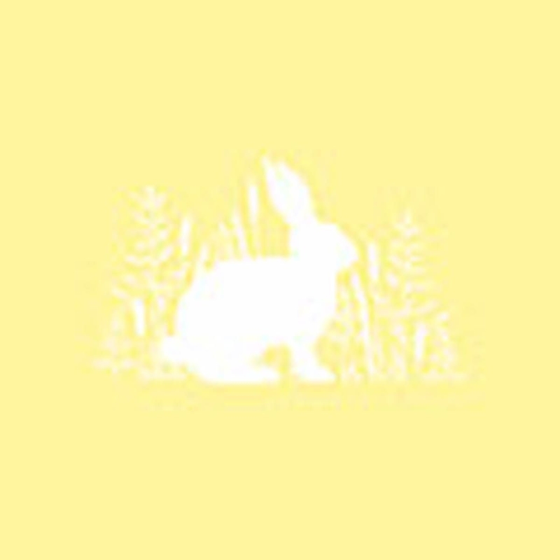 PPD Lunch servetten - Pure Easter yellow PPD Lunch servetten - Pure Easter yellow