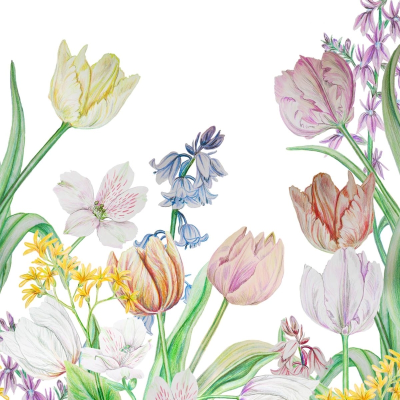 PPD - Lunch servetten - Nana