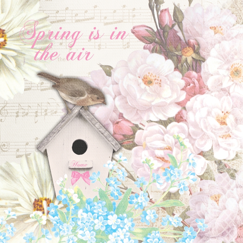 P+D - Cocktail servetten - Bird house