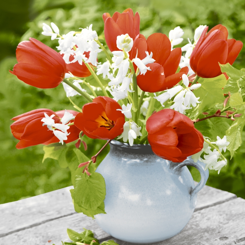 P+D - Lunch servetten - Red tulips P+D - Lunch servetten - Red tulips