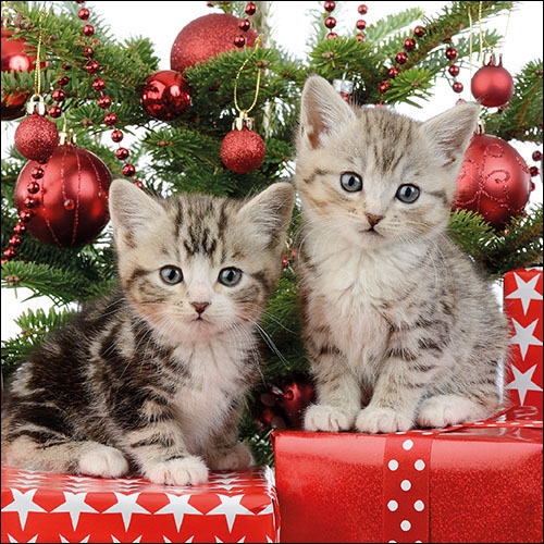 Ambiente Lunch Servetten - Christmas Kitten