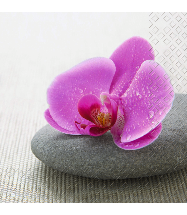 Stewo Lunch Servetten - Kano Violett Stewo Lunch Servetten - Kano Violett