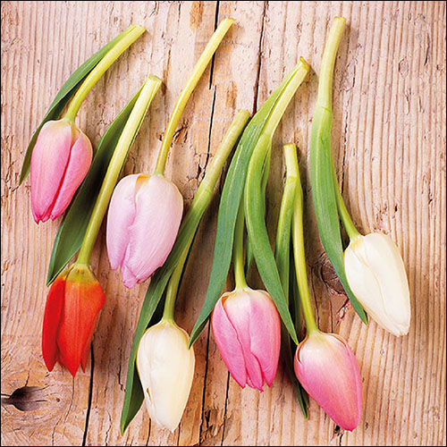 Ambiente - Lunch servetten - Tulips On Wood