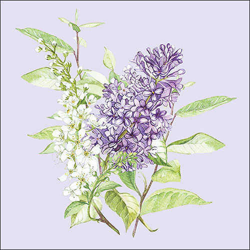 Ambiente - Lunch servetten - Lilac Lila Ambiente - Lunch servetten - Lilac Lila