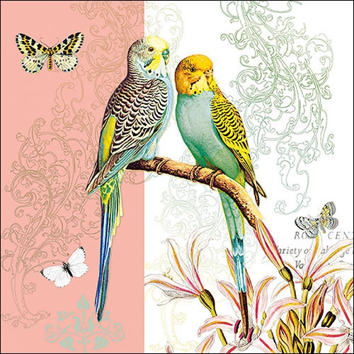 Ambiente Lunch Servetten - Budgies Coral