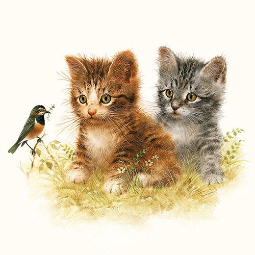 Ambiente Lunch Servetten - Kitten Friend