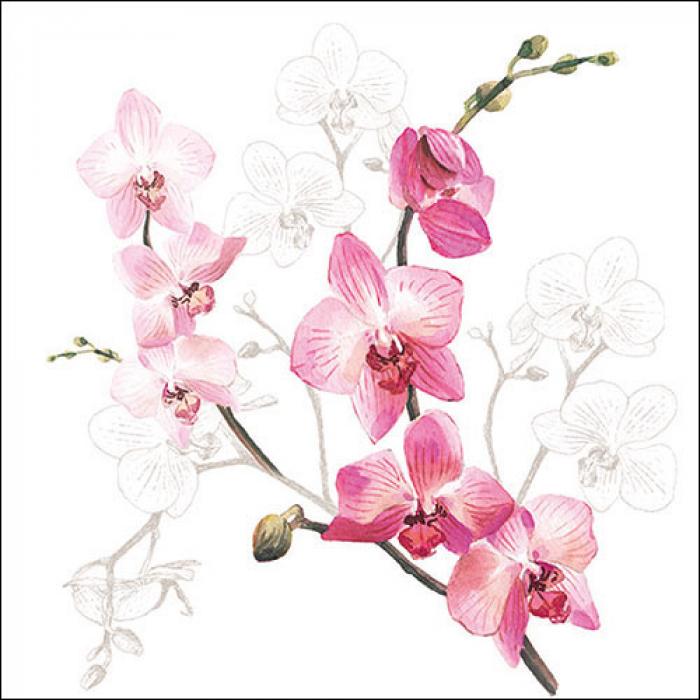 Ambiente Lunch Servetten - Orchid