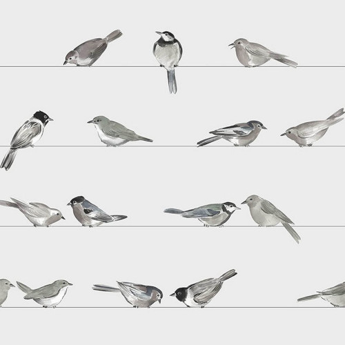 PPD Lunch servetten - Birds PPD Lunch servetten - Birds
