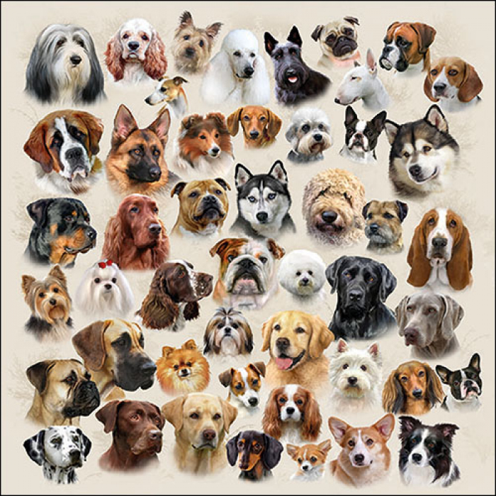 Ambiente Lunch Servetten - Collection of dogs