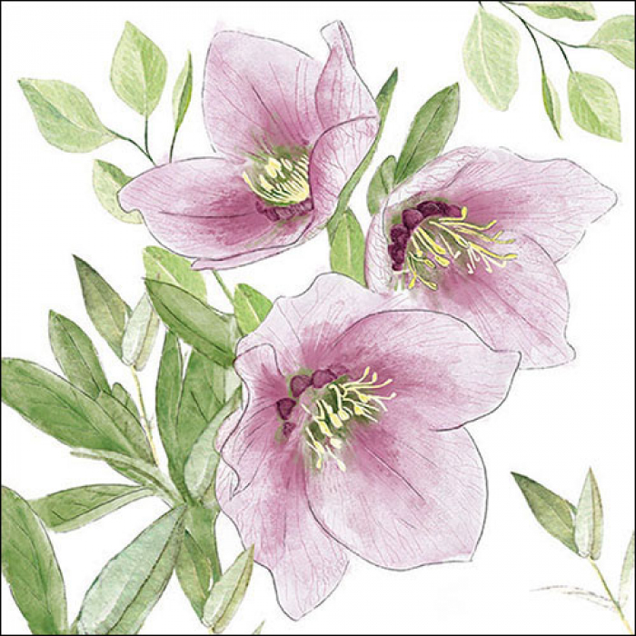 Ambiente - Lunch servetten - Classic helleborus