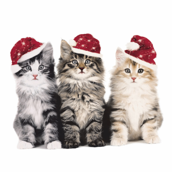 P+D Lunch servetten - Xmas cats P+D Lunch servetten - Xmas cats