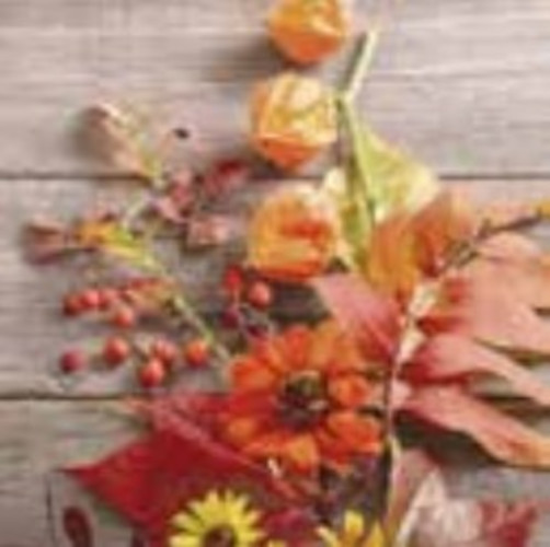 P+D - Lunch servetten - Fruity Florals