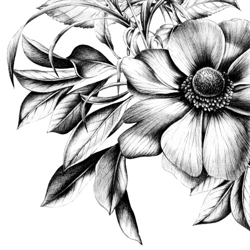 PPD Lunch Servetten - Natasha Bloem Zwart Wit PPD Lunch Servetten - Natasha Bloem Zwart Wit