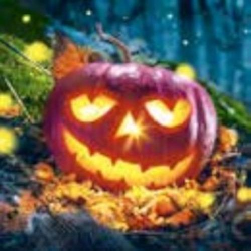 P+D - Lunch servetten - Pumpkin night