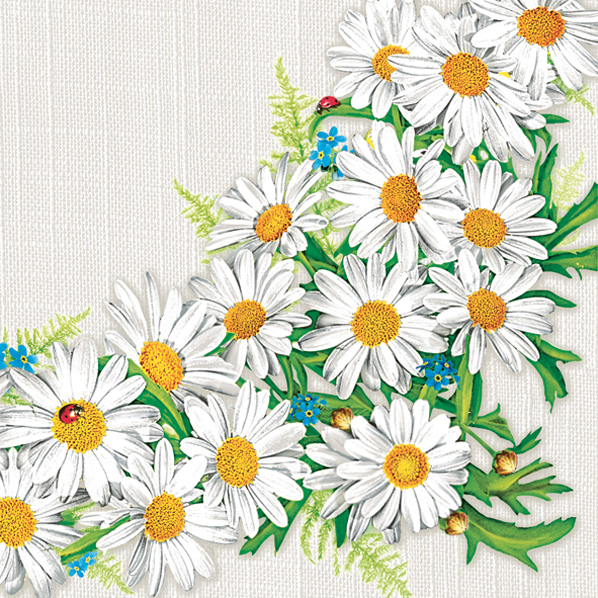 Daisy - Lunch servetten - Daisy Frame
