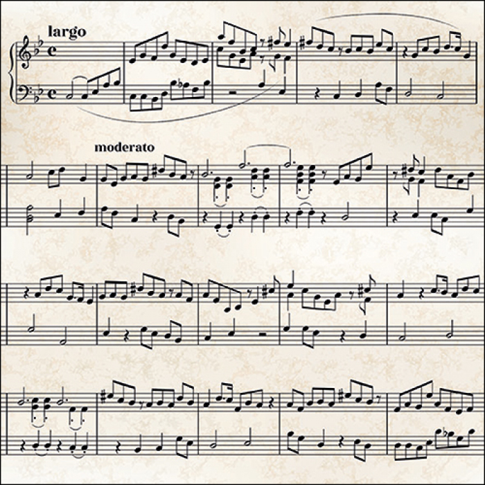 Ambiente Lunch Servetten  - Sheet music