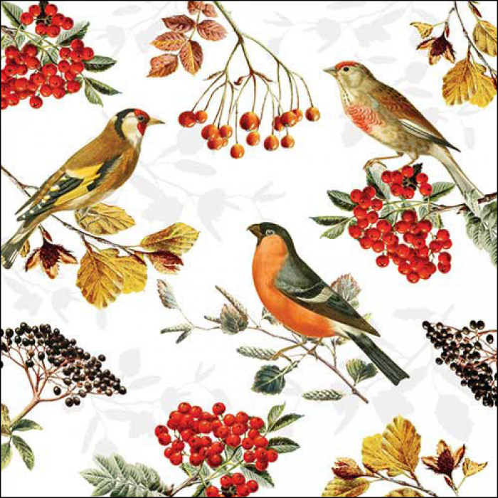 Ambiente Lunch Servetten - Autumn birds