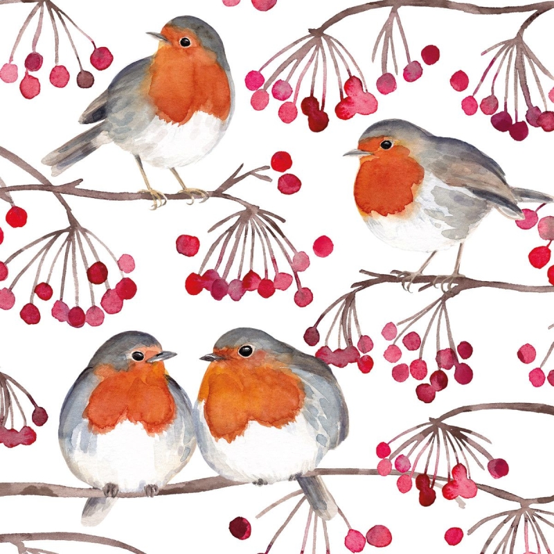 PPD Lunch servetten - Birds & Berries PPD Lunch servetten - Birds & Berries