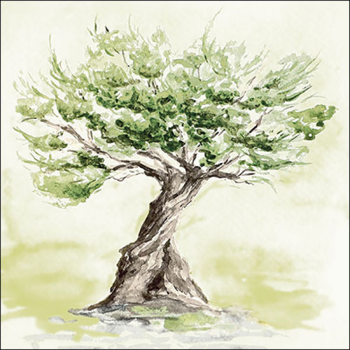 Ambiente Lunch Servetten - Olive tree
