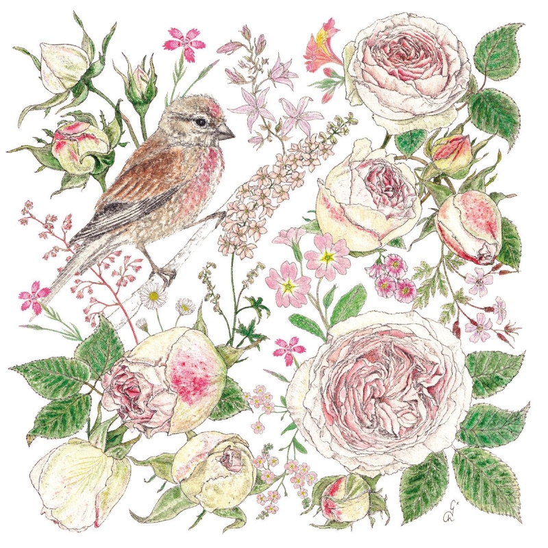 PPD - Lunch servetten - La Vie en Rose