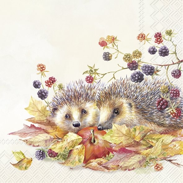 IHR Lunch servetten - Hedgehog Friends Cream
