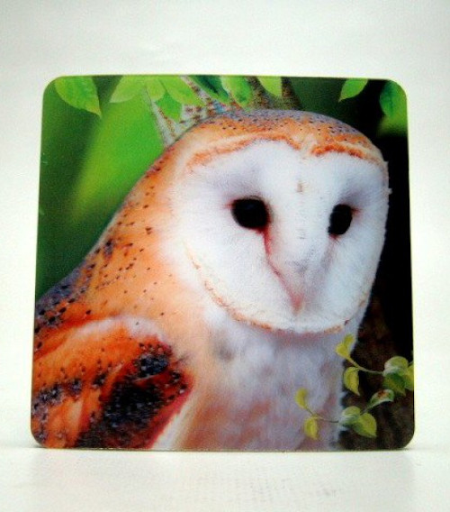 4 3D onderzetters - Kerkuil - Vogel - Kunststof