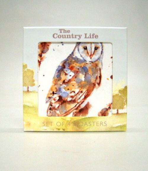 4 Luxe onderzetters - Kerkuil - Kurk/kunststof