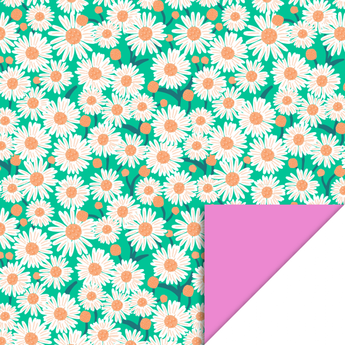 Cadeaupapier 70x300 cm - Daisy Bright Green - Pink