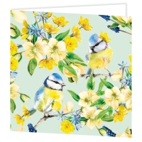 Set van 6 wenskaarten - Pimpelmees