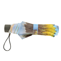 Opvouwbare paraplu Pimpelmees