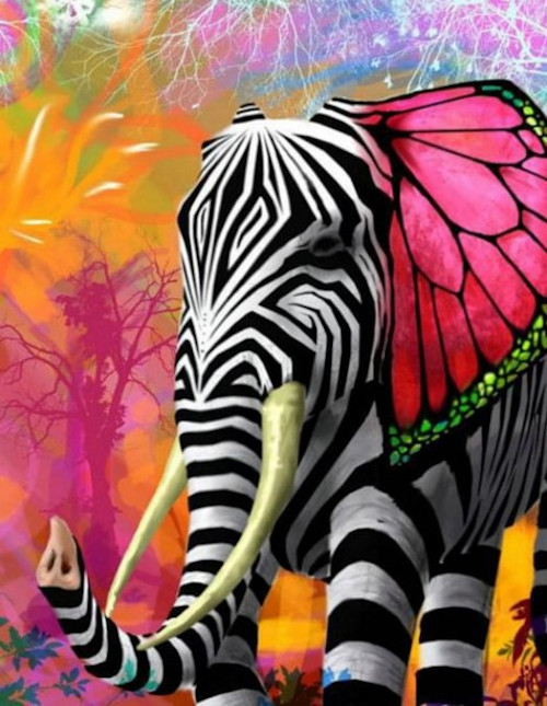Diamond painting - olifant - 50x40cm - full
