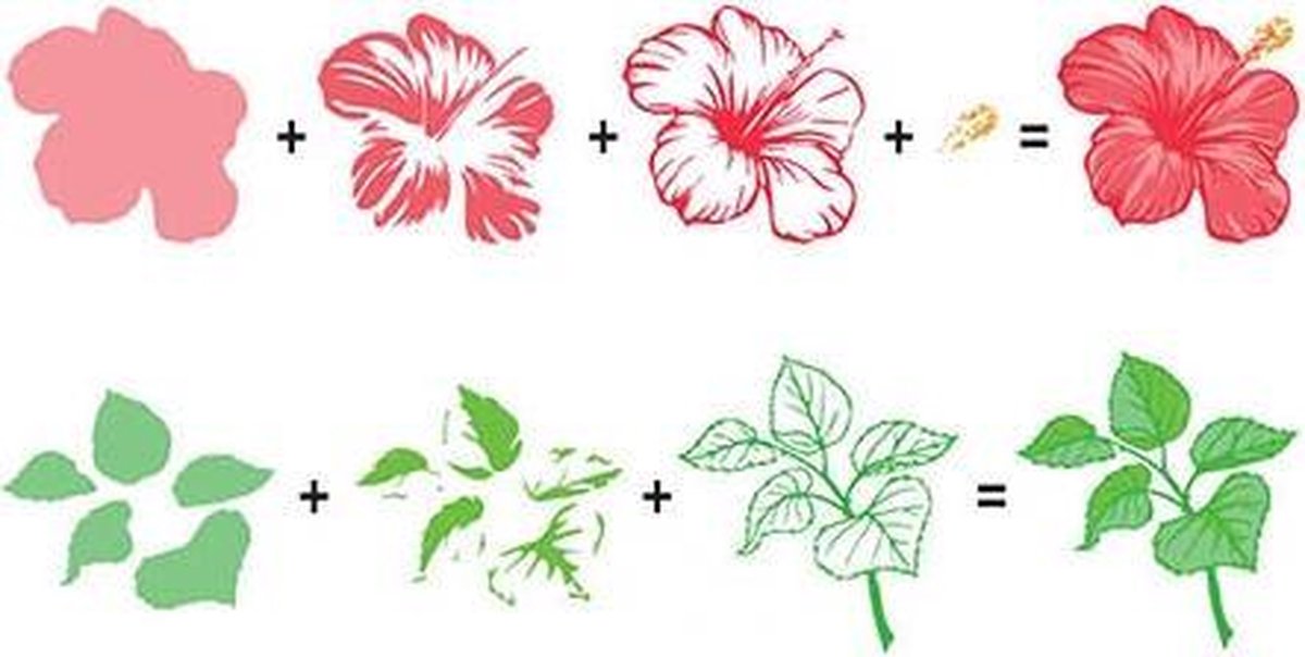 Nellie Snellen - Clear Stamp - Hobby Solution - 3D Flowers