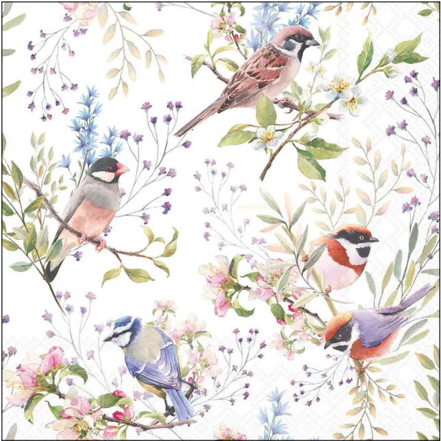 Ambiente - Servetten 33x33cm - Busy birds