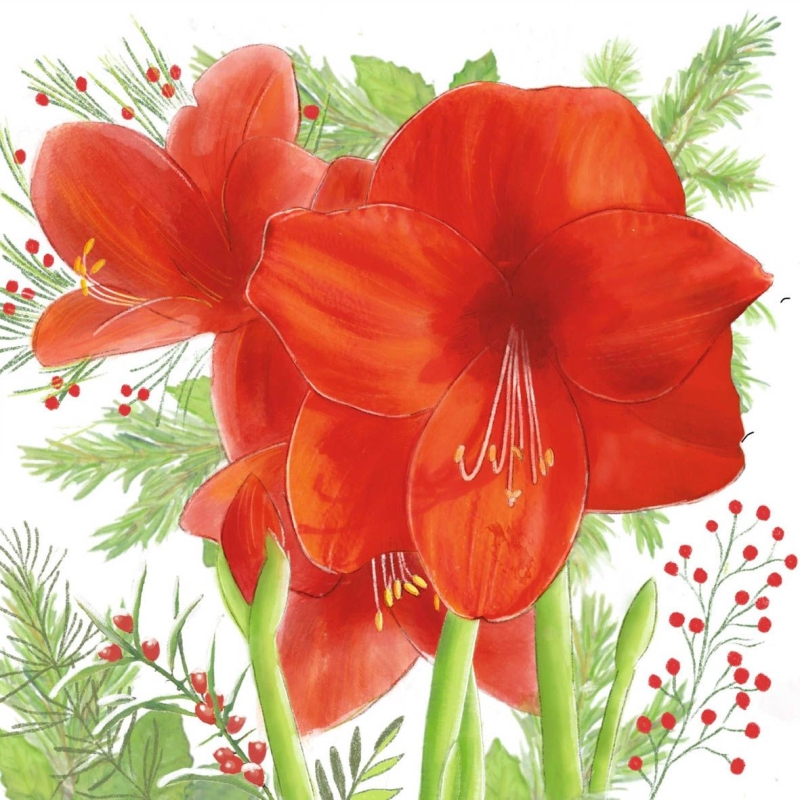 PPD - Lunch servetten - Amaryllis PPD - Lunch servetten - Amaryllis