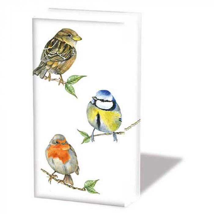 Ambiente Zakdoeken - Bird species white Ambiente Zakdoeken - Bird species white