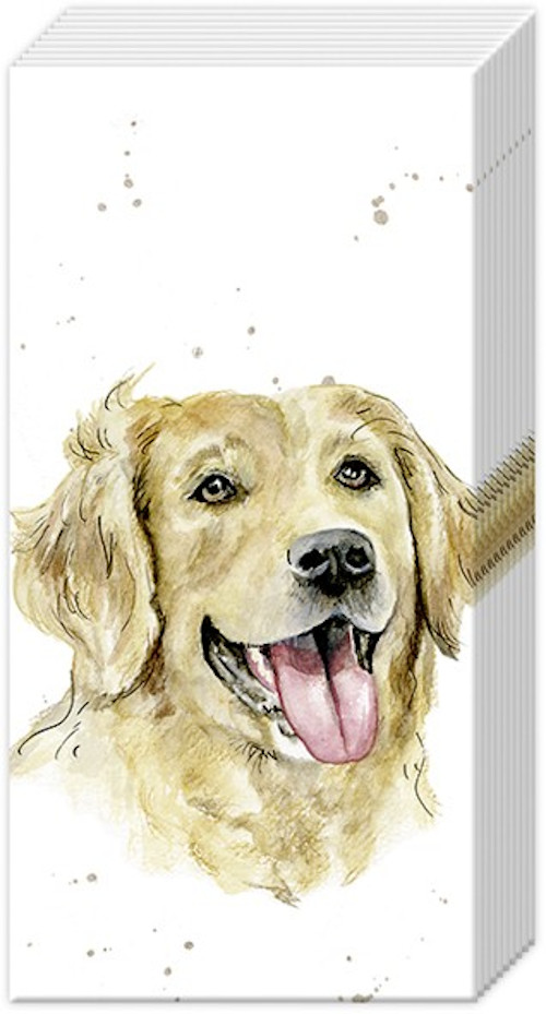 Zakdoeken 6 pakjes - Farmfriends 'Dog' Golden retriever Zakdoeken 6 pakjes - Farmfriends 'Dog' Golden retriever
