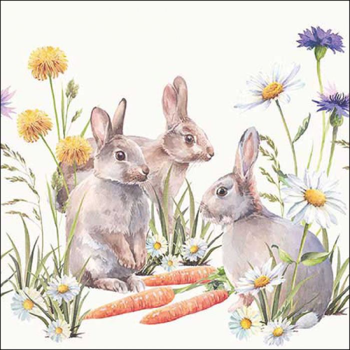 Lunch Servet per stuk - Carrot Treats