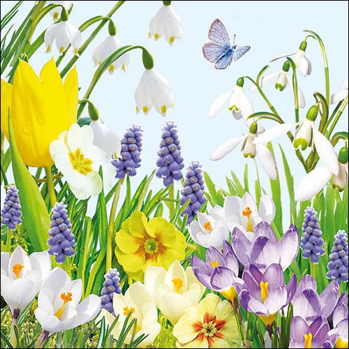 Lunch Servet per stuk - Spring Time Lunch Servet per stuk - Spring Time