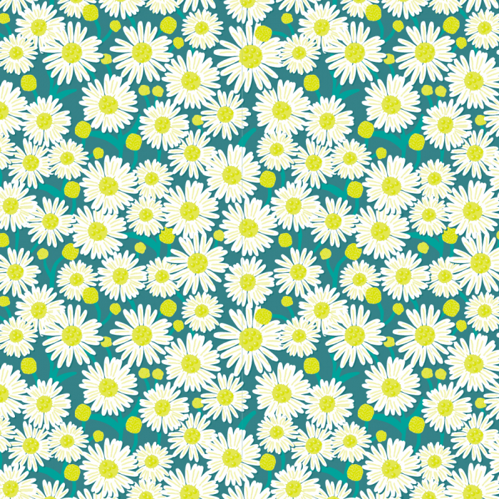 2 Kleine rollen - Cadeaupapier 30x200 cm - Daisy 2 Kleine rollen - Cadeaupapier 30x200 cm - Daisy