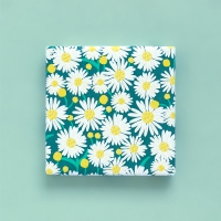 2 Kleine rollen - Cadeaupapier 30x200 cm - Daisy