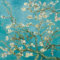 Lunch Servet per stuk Almond Blossom Vincent van Gogh - Ambiente - 33x33 cm