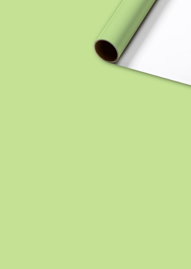 Stewo - Cadeaupapier 70 cm - Uni - Limegroen - 2 stuks Stewo - Cadeaupapier 70 cm - Uni - Limegroen - 2 stuks