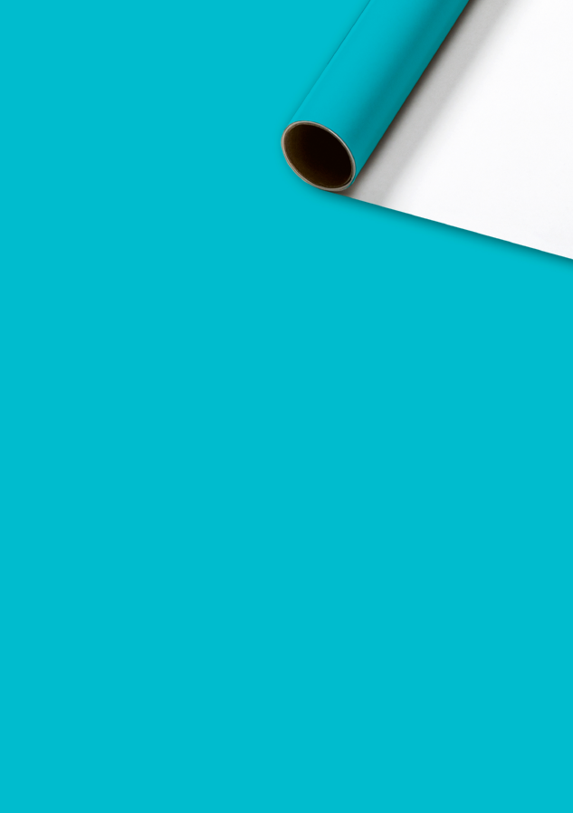 Stewo - Cadeaupapier 70 cm - Uni - Turquoise - 2 stuks Stewo - Cadeaupapier 70 cm - Uni - Turquoise - 2 stuks